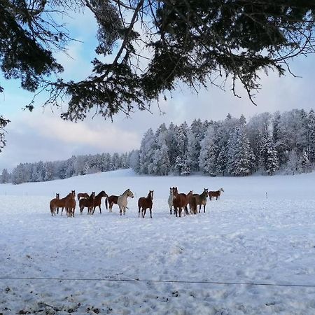 Gite Rural 1666 Saignelégier Екстериор снимка