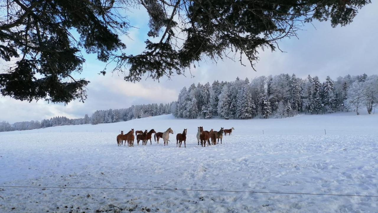 Gite Rural 1666 Saignelégier Екстериор снимка